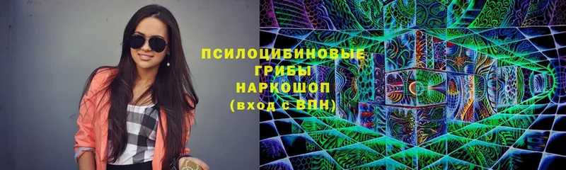 Галлюциногенные грибы Psilocybine cubensis  Красноперекопск 